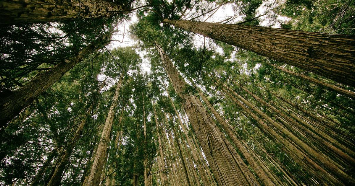 Công Phượng trở lại V-League: Vai trò mới của thủ lĩnh HAGL trước Viettel